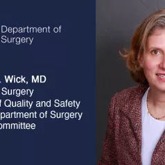 Dr Elizabeth Wick Named Inaugural Vice Chair Of Quality And Safety